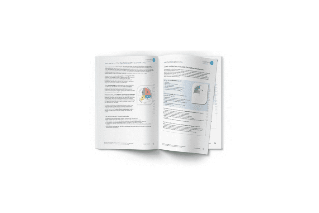 Everything DiSC Management (Free Sample Report)